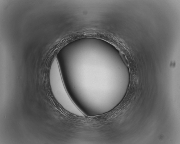 X0000095931445200801110907