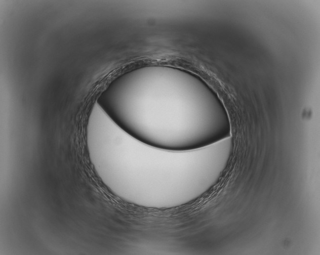 X0000095931447200801110907