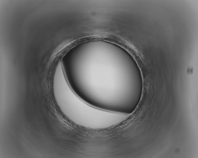 X0000095931448200801110907