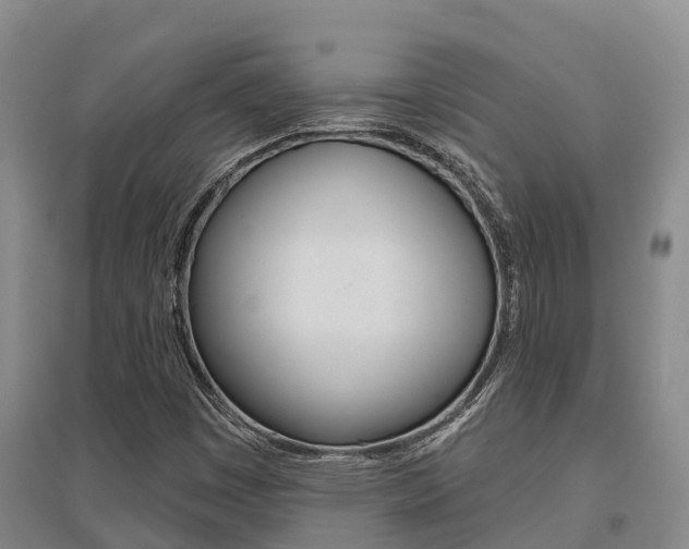 X0000095931449200801110907