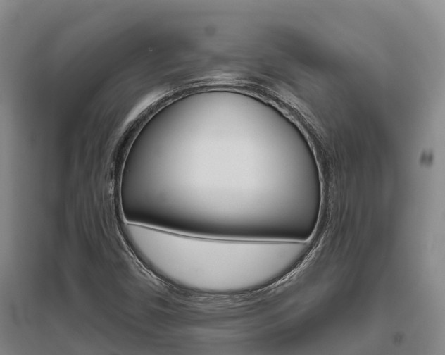 X0000095931450200801110907