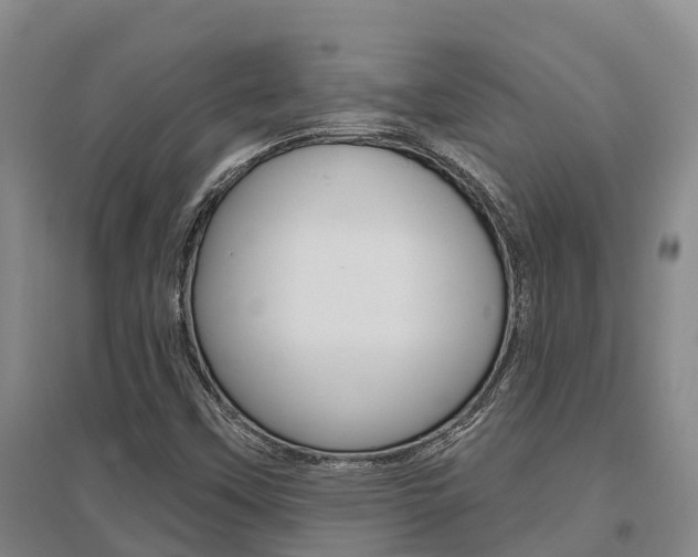 X0000095931451200801110907
