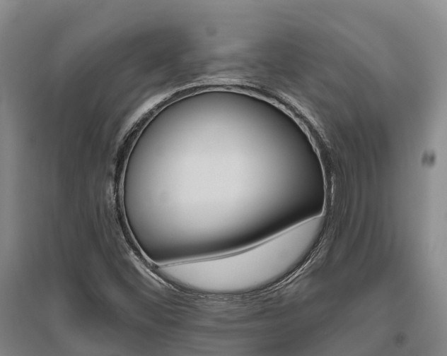 X0000095931452200801110907