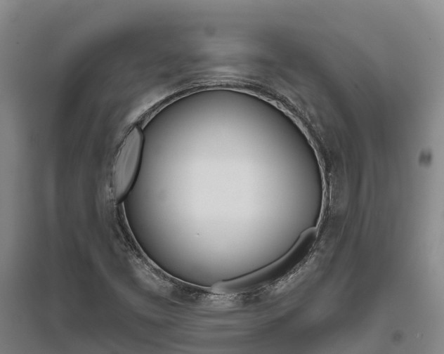 X0000095931453200801110907