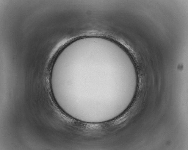 X0000095931454200801110907