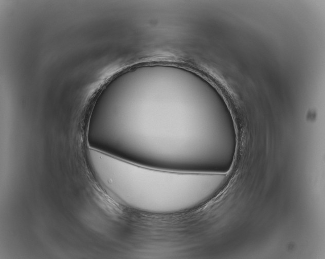 X0000095931455200801110907