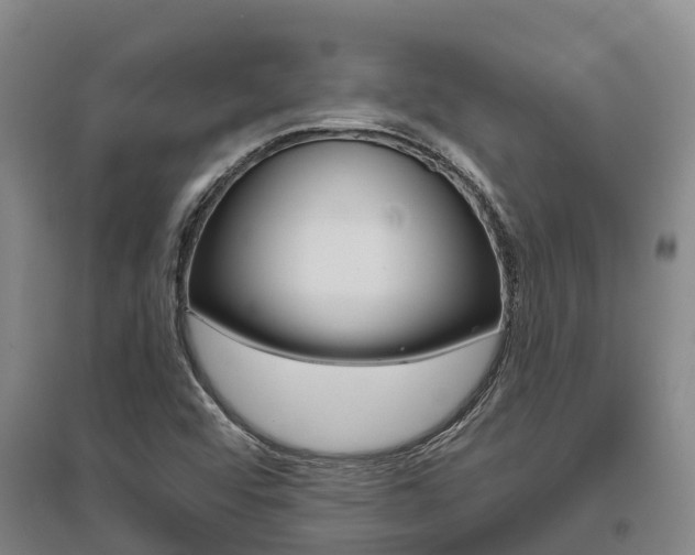 X0000095931456200801110907