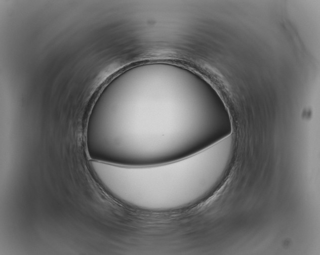 X0000095931457200801110907
