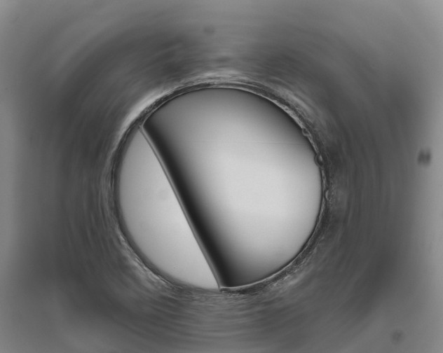 X0000095931458200801110907