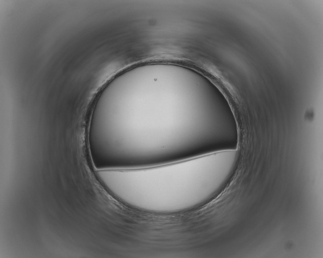 X0000095931459200801110907