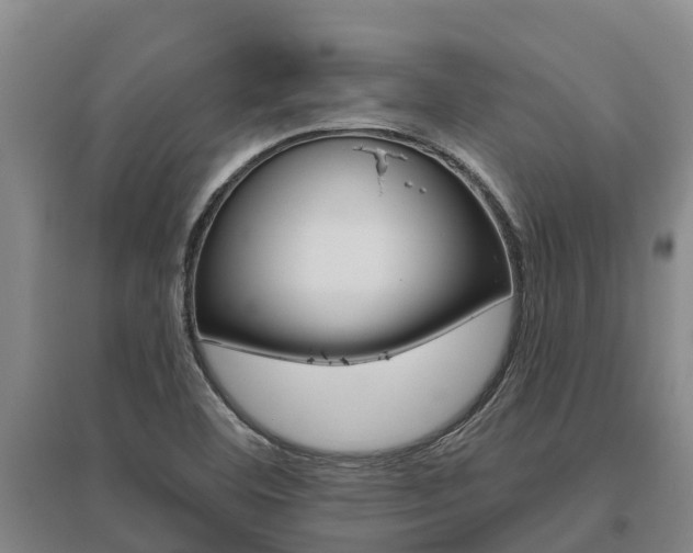 X0000095931460200801110906