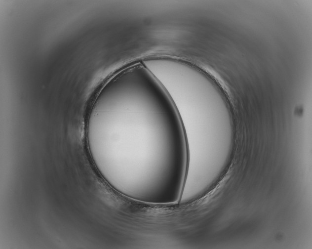 X0000095931461200801110906