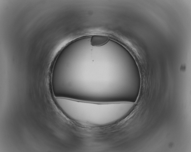 X0000095931463200801110906