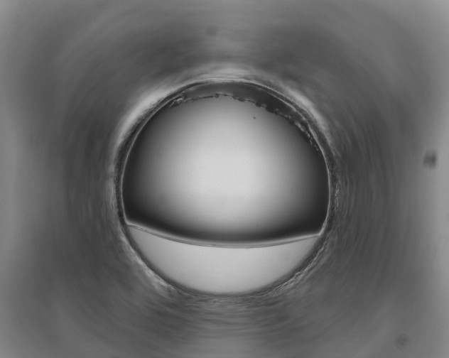 X0000095931464200801110906