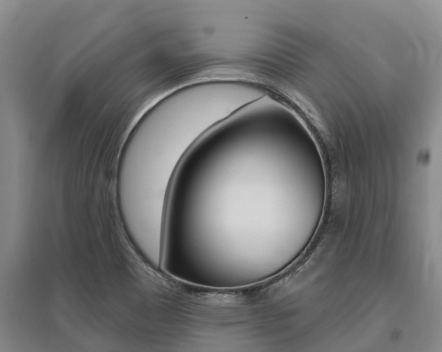 X0000095931465200801110906