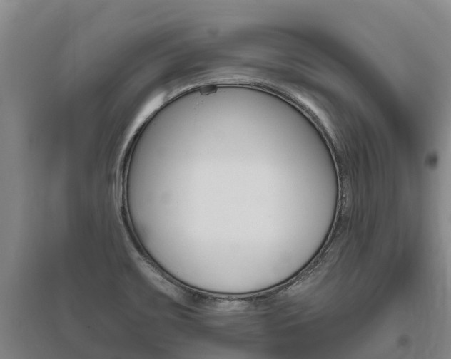 X0000095931467200801110906