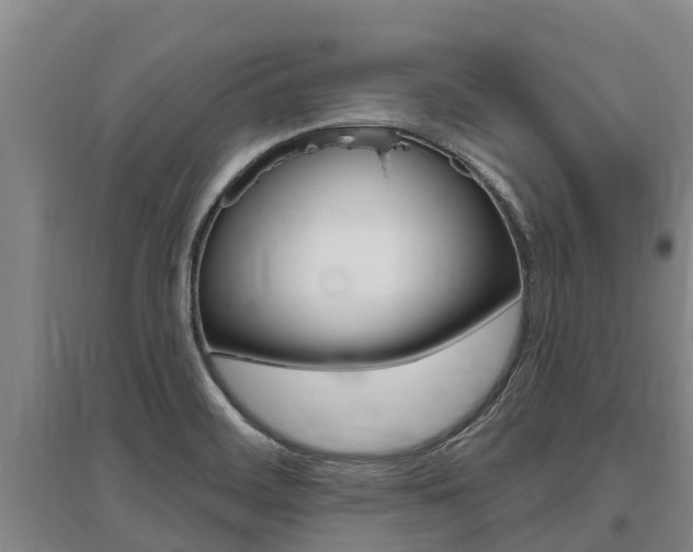 X0000095931468200801110906