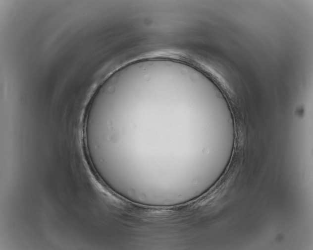 X0000095931471200801110906