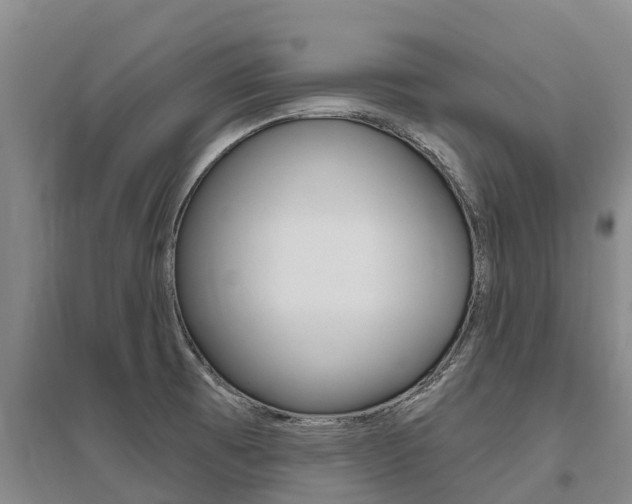 X0000095931473200801110906