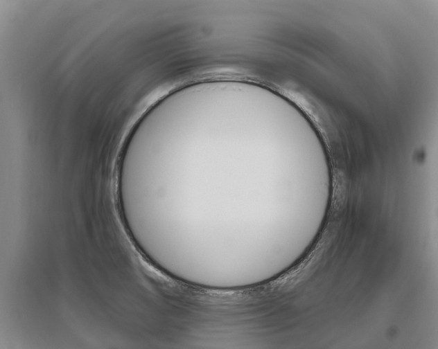 X0000095931474200801110906