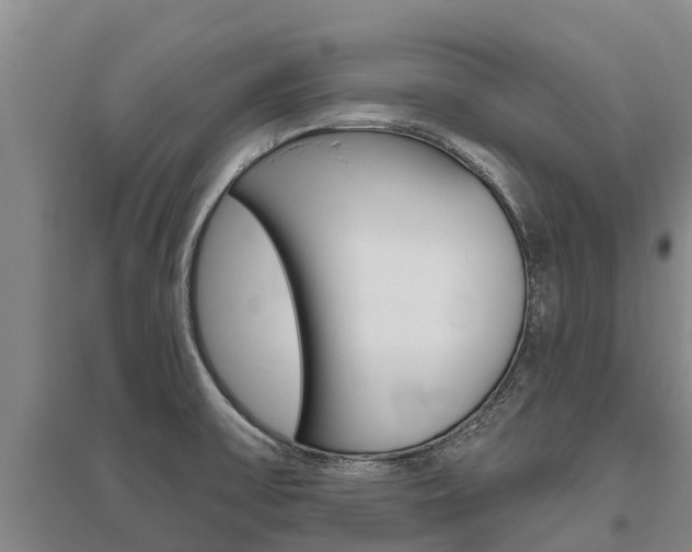 X0000095931475200801110906