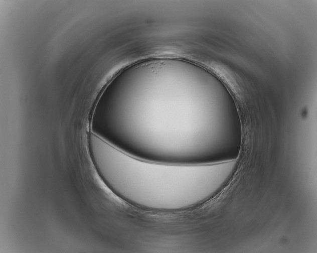 X0000095931476200801110906