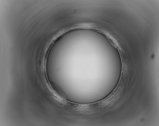 X0000095931477200801110906