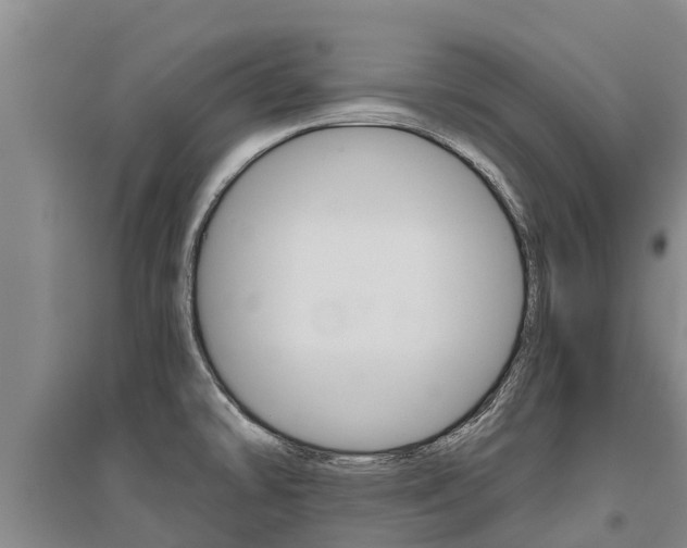 X0000095931478200801110906
