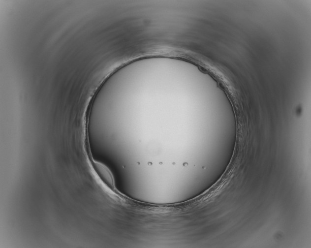 X0000095931479200801110906