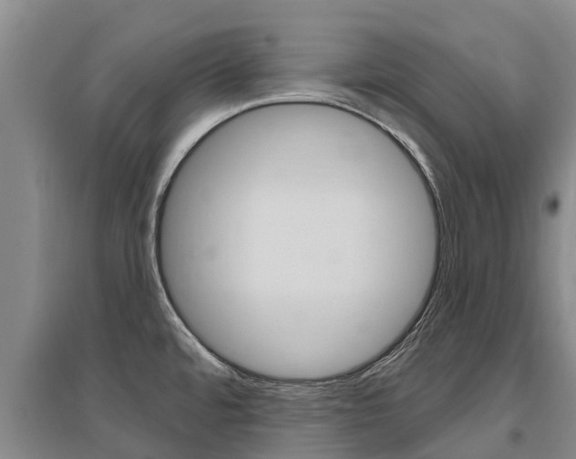 X0000095931480200801110906