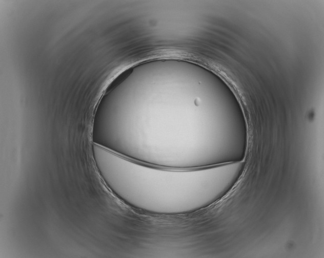 X0000095931481200801110906