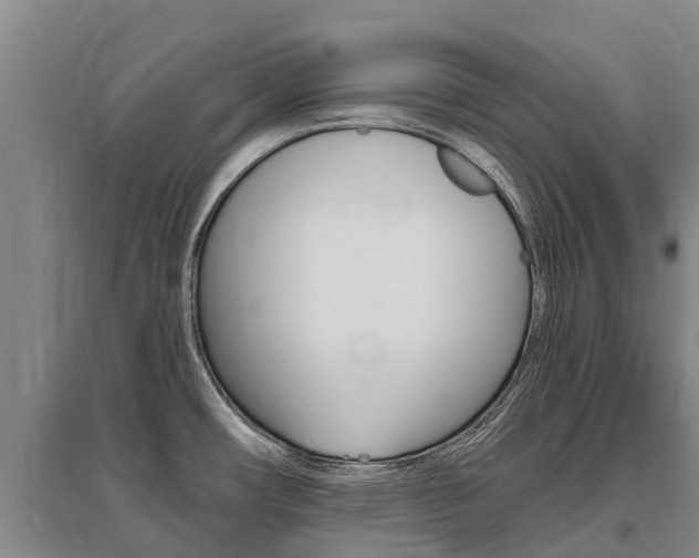 X0000095931482200801110906