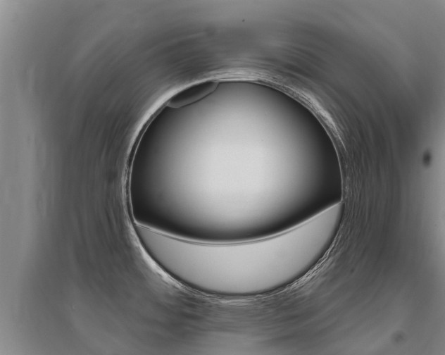 X0000095931484200801110906