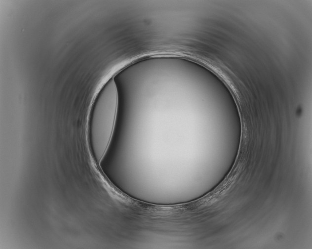 X0000095931485200801110906