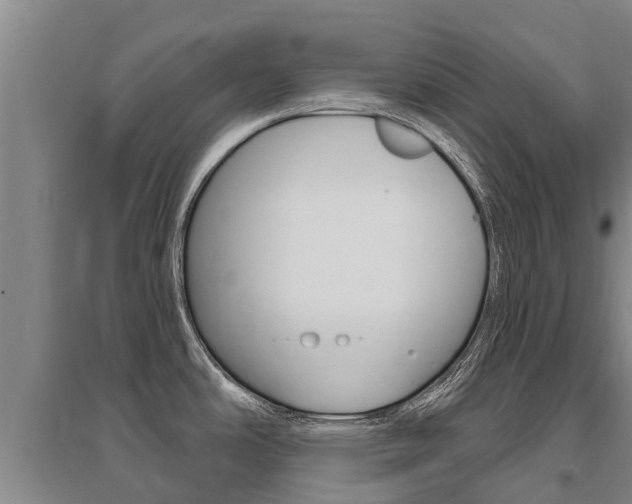 X0000095931486200801110906
