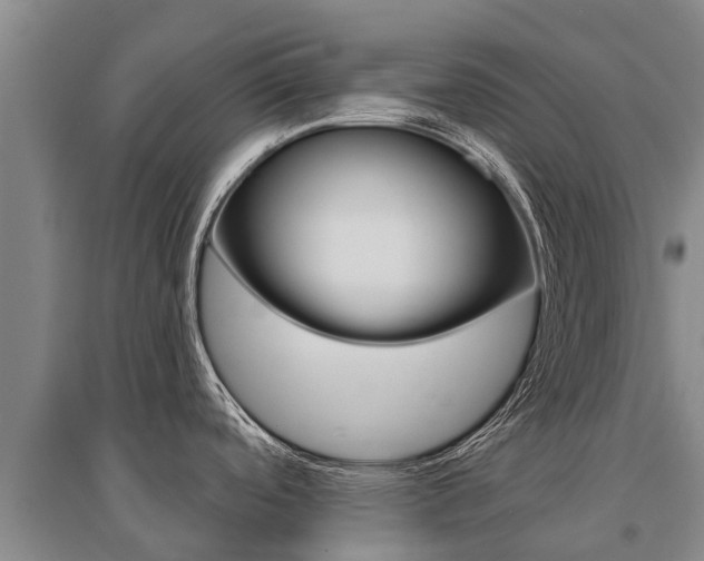 X0000095931488200801110906