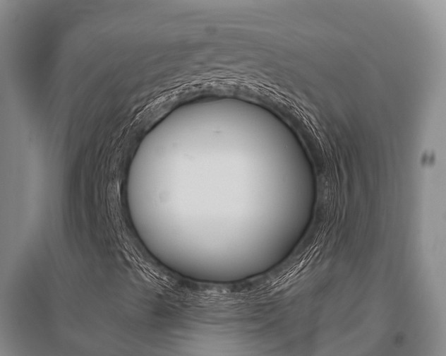 X0000095931489200801110905