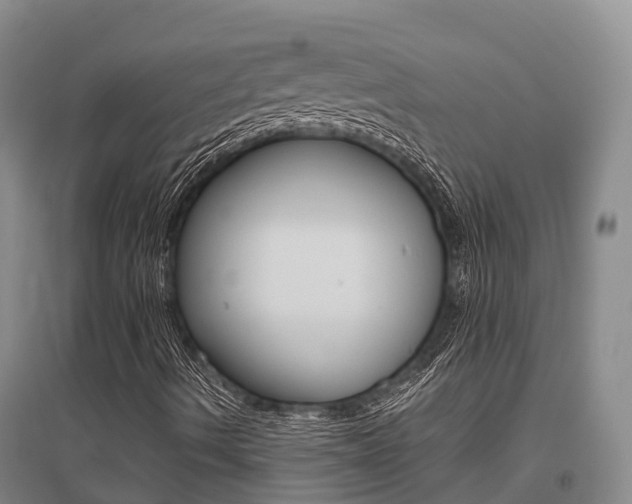 X0000095931490200801110905