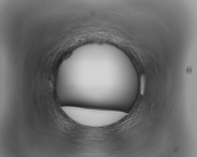 X0000095931491200801110905