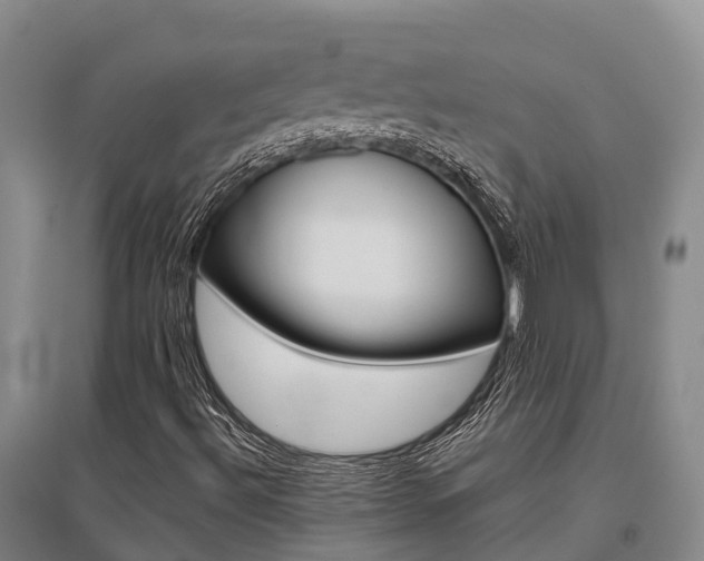 X0000095931492200801110905
