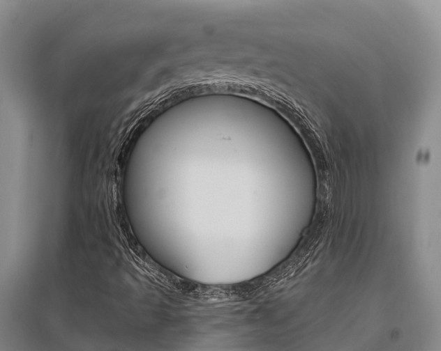 X0000095931493200801110905