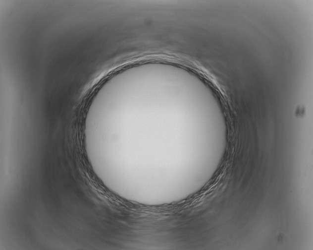 X0000095931496200801110906