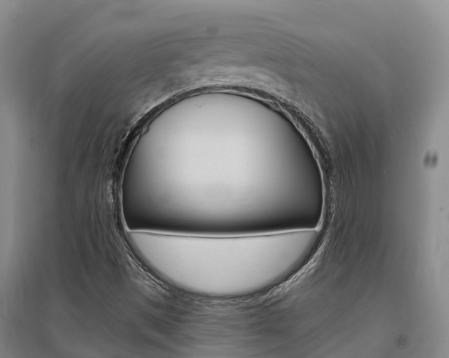 X0000095931497200801110906