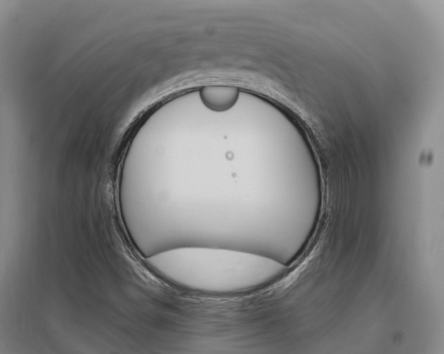 X0000095931498200801110906