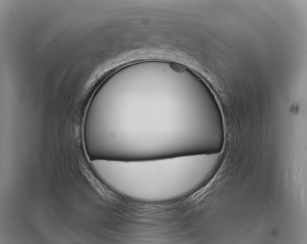 X0000095931499200801110906