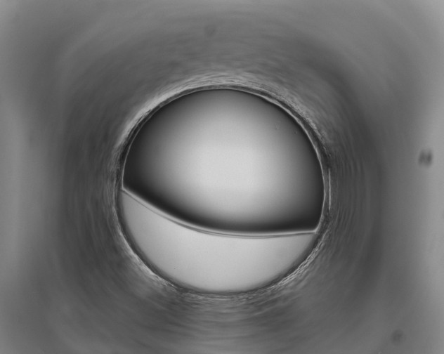 X0000095931500200801110906