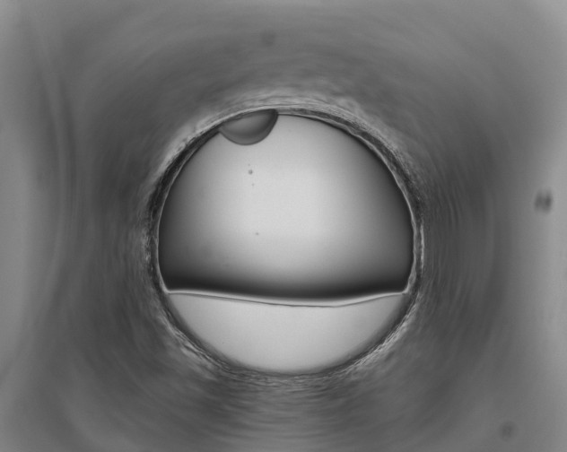 X0000095931501200801110906