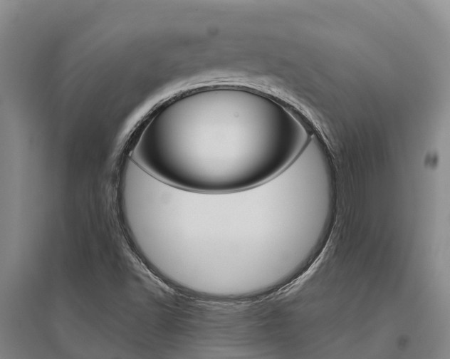 X0000095931502200801110906