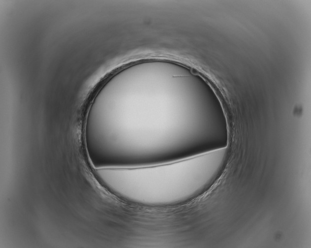 X0000095931503200801110906