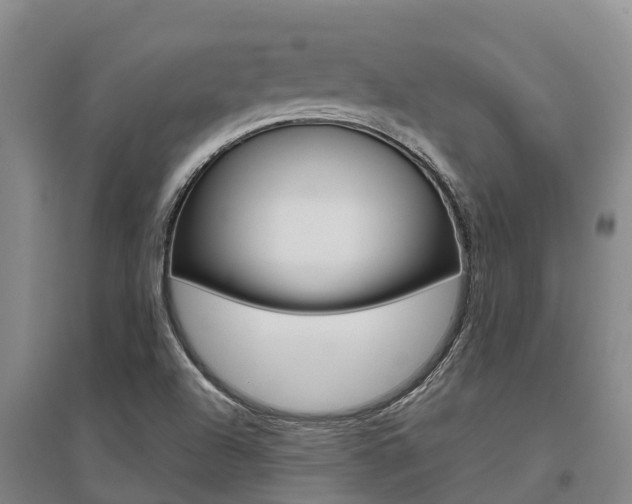X0000095931504200801110906